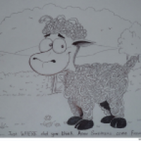 Celtic Sheep