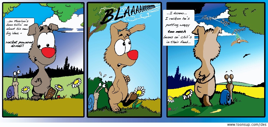 Cartoon: Rocket Power 1