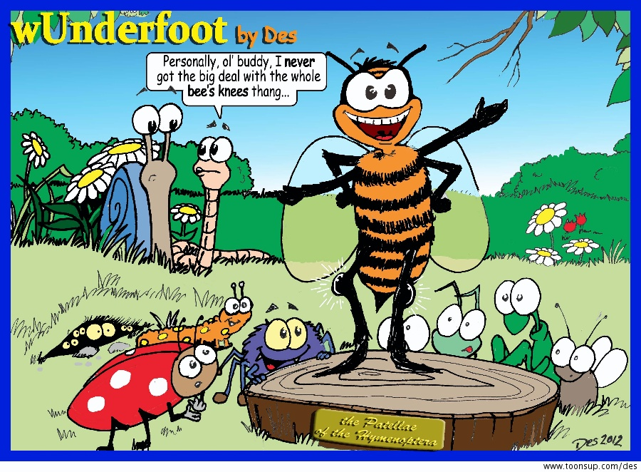 Cartoon: The Bees Knees! 1