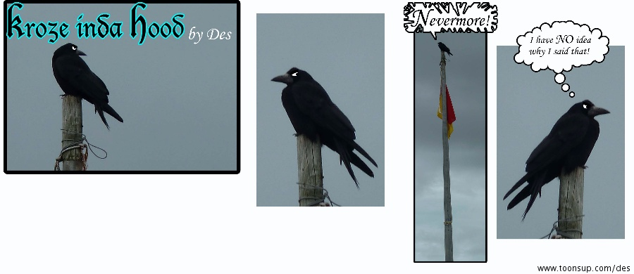 Cartoon: Nevermore 1