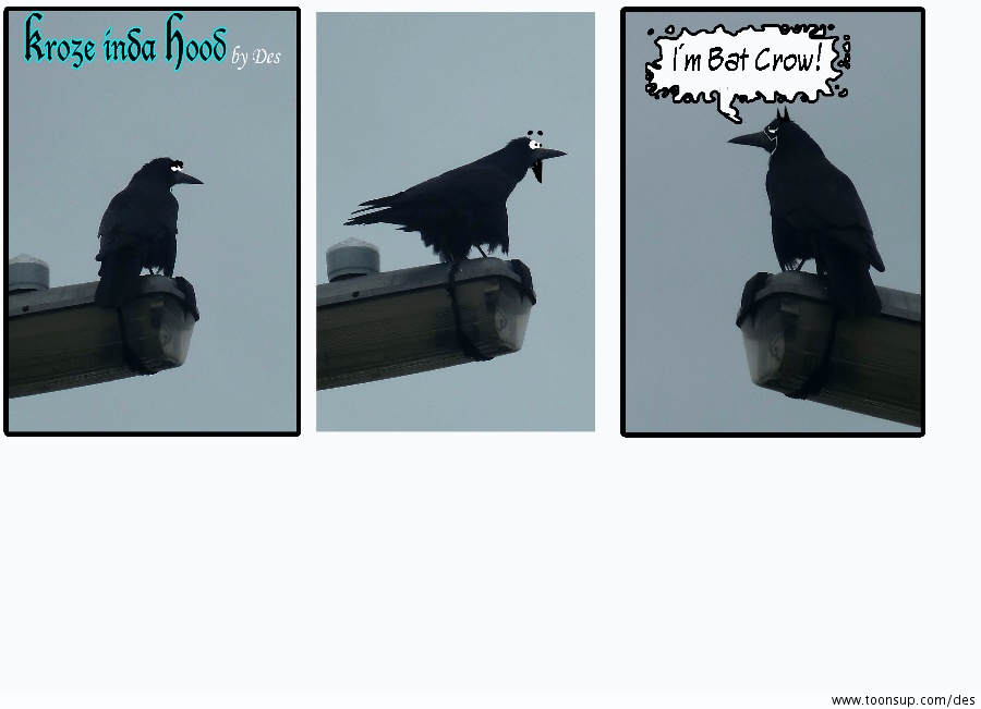 Cartoon: Kroze go Batz 1