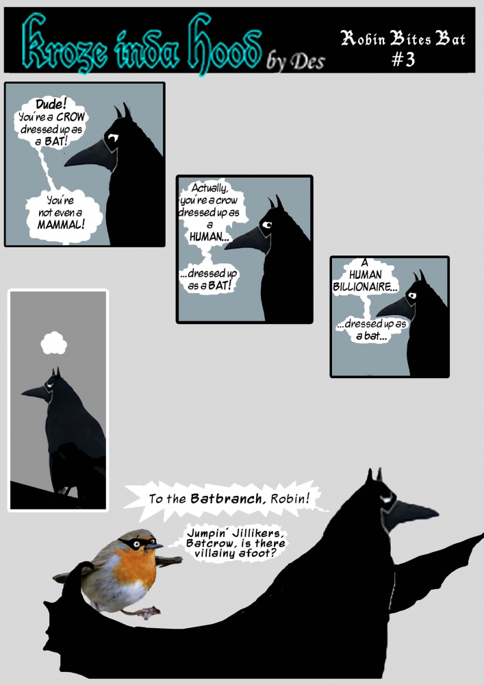 Comic: Robin Bites Bat! 3