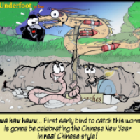 Happy New Year!