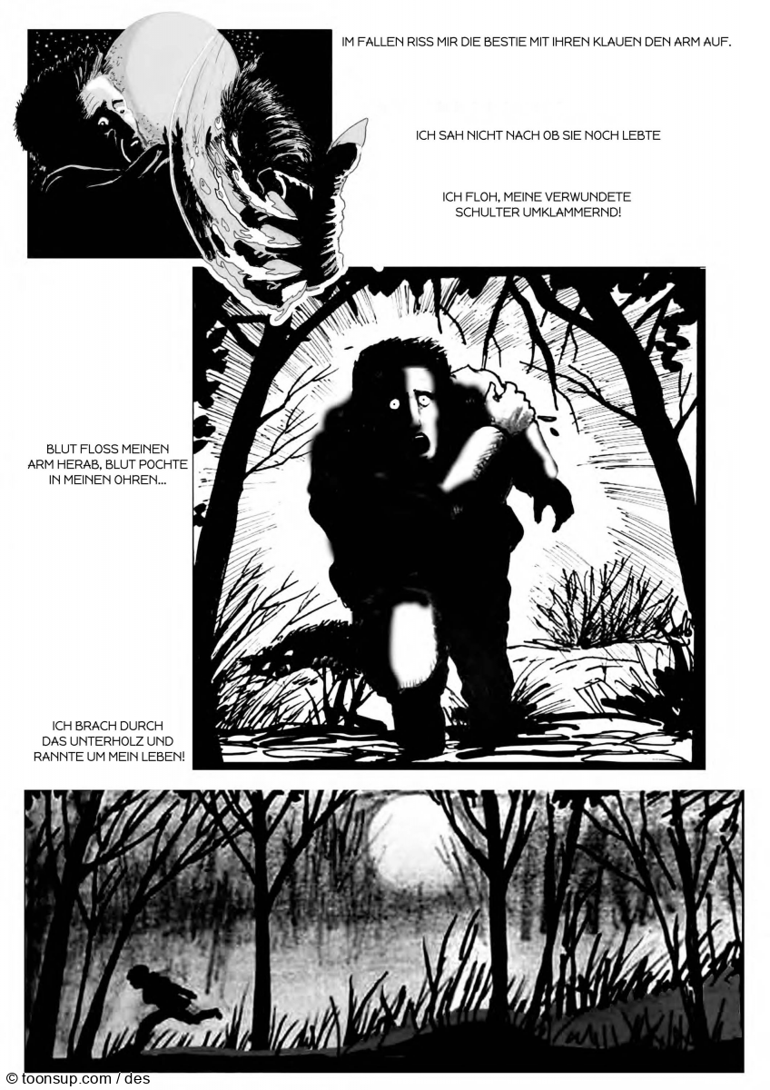 Illustration: Der Wolf Von Elztal - The Wolf of Elztal 12