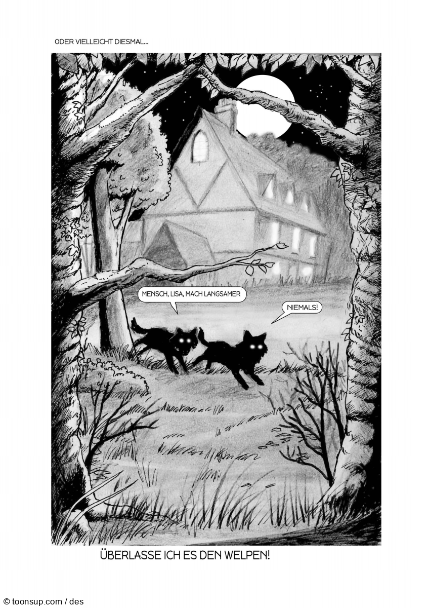 Illustration: Der Wolf Von Elztal - The Wolf of Elztal 17
