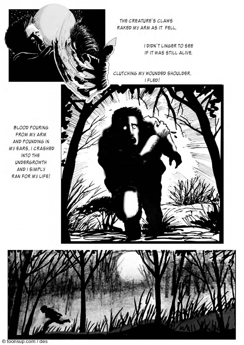 Comic: The Wolf of Elztal - English version 12