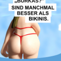 Wahlwerbung 3