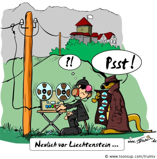 Cartoon: Neulich vor Liechtenstein 1