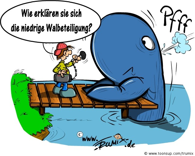 Cartoon: Wahlbeteiligung 1