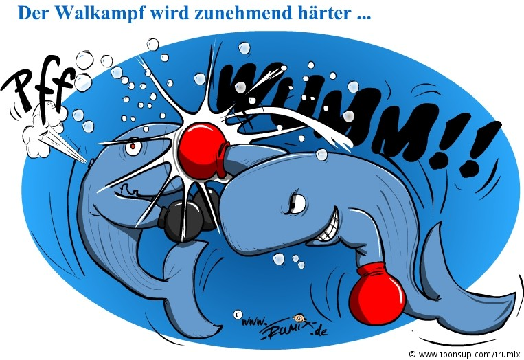 Cartoon: Wahlkampf 1