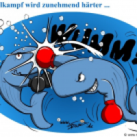 Wahlkampf