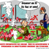 Schwein gehabt!