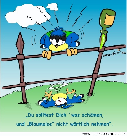 Comic: Die Blaumeise 4