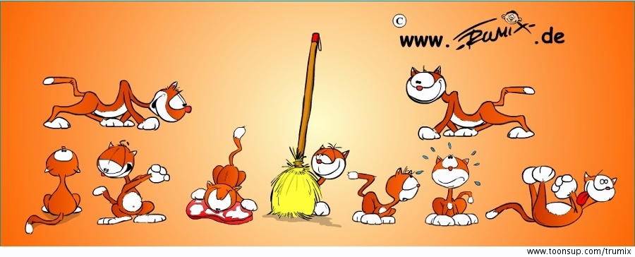 Illustration: Katzen, Katzen, nichts als Katzen 4