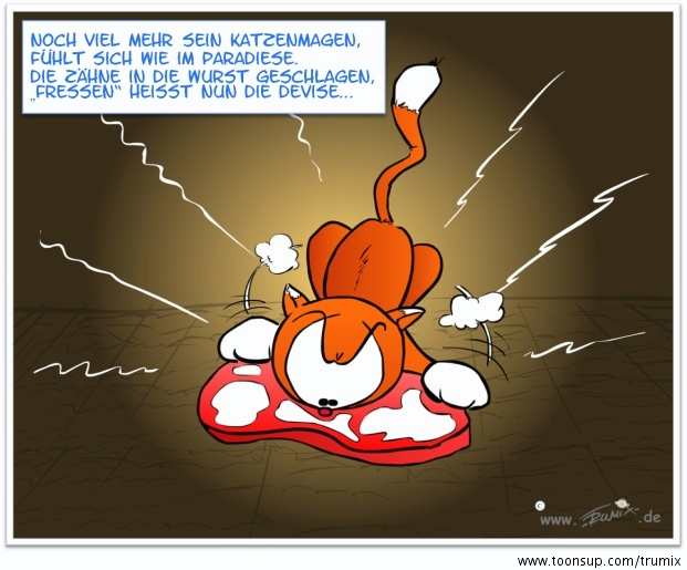 Illustration: Katzenjammer 10