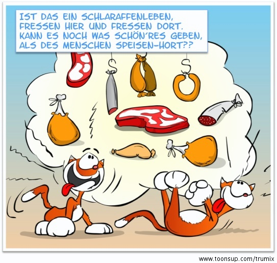 Illustration: Katzenjammer 11