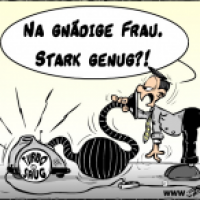 Staubsaugervertreter