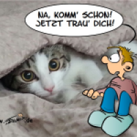 Nur keine Angst