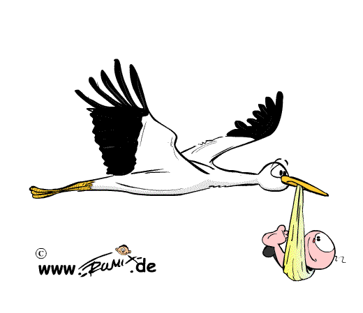 Animation: Storch 2