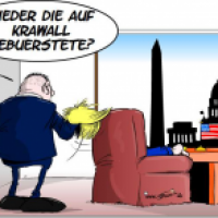 Auf Krawall gebürstet