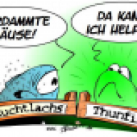 Wer die Wahl hat, hat die Qual