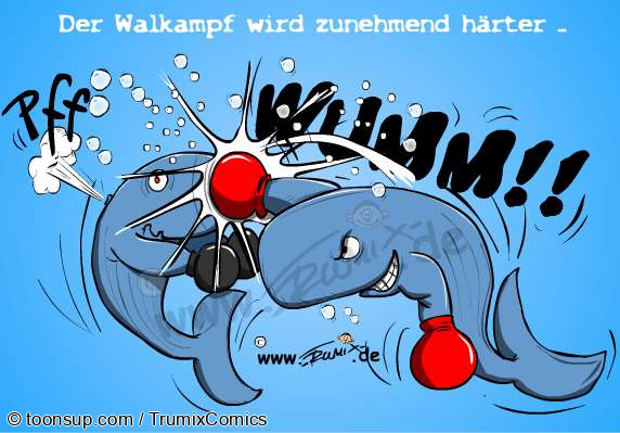 Cartoon: Fairer Wahlkampf 1