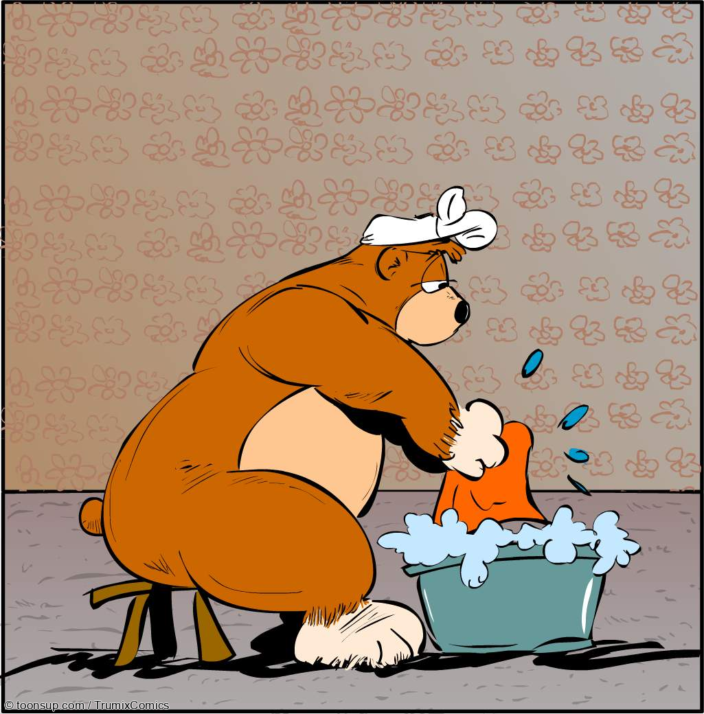 Animation: Der Waschbär 1