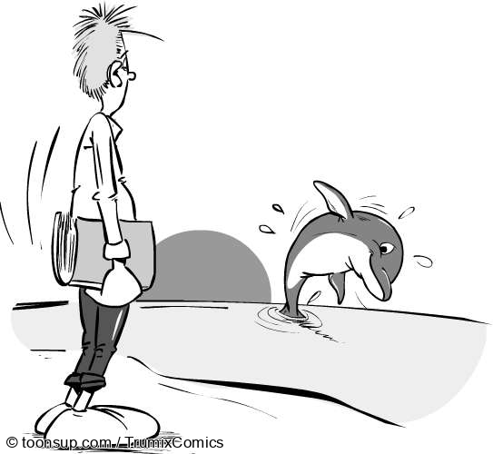 Illustration: Delphinstrategie 2