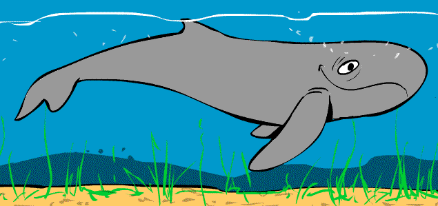 Animation: Timmy 3