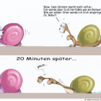 Schnecken