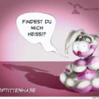 TopTittenhase1