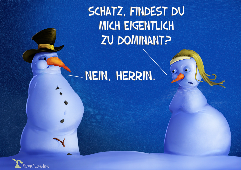 Cartoon: Schneefrau vs. Schneemann 1