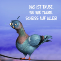 Taube