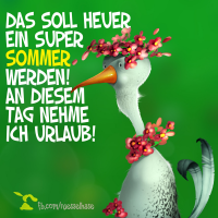 Sommer Vogel