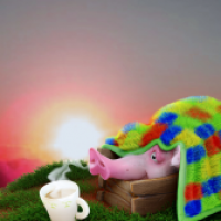 Guten Morgen