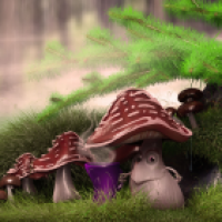 Pilz im nassen Wald mit Kaffeestimmung