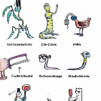 lustige Tiernamen