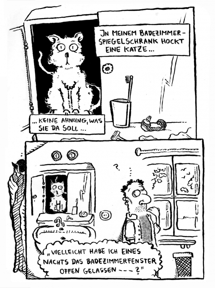 Comic: Badezimmerspiegelschrank 1