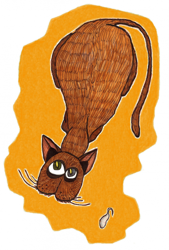 Illustration: #catcontent 1