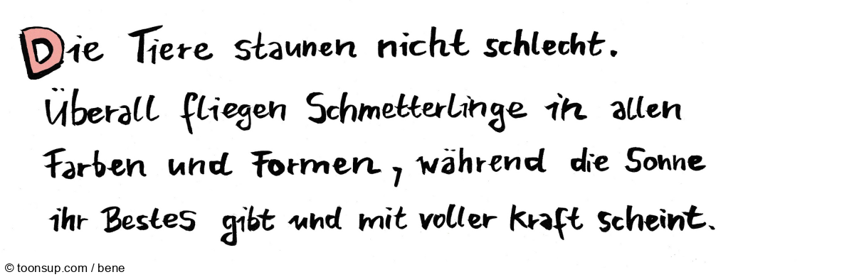 Buch: Klassenfahrt 13