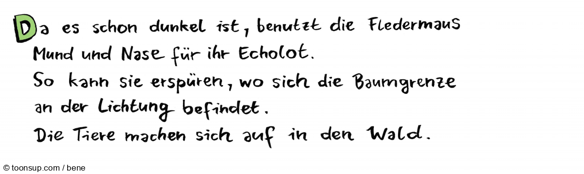 Buch: Klassenfahrt 21