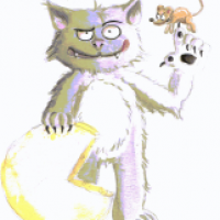 Let the Cat win!