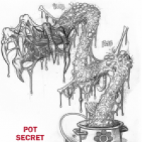 POT SECRET (NICHT FÜR KINDER)