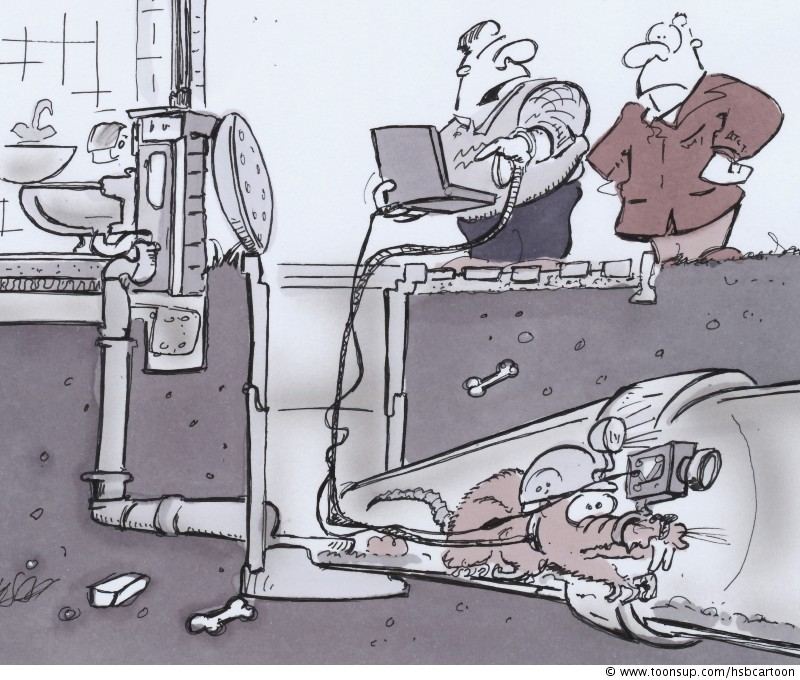 Cartoon: Kanalratte 1