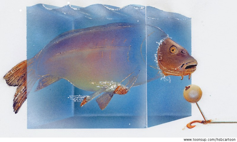 Cartoon: carp 1