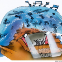 Neue Deutsche Welle