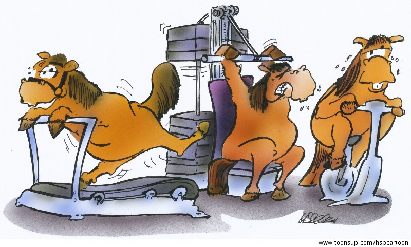 Cartoon: Fitness für Pferde 1