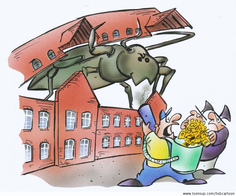 Cartoon: Hausbockbekämpfung 1