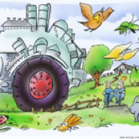 agricultural policy