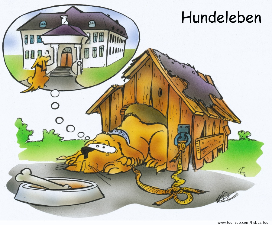 Cartoon: dogs life 1